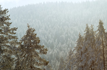 Beautiful view of the winter mountains.