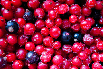 frozen berries