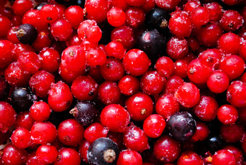 Red frozen berries