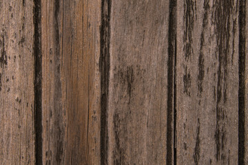 Wooden wall