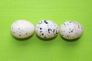 easter, happy easter, basket and eggs, easter basket, colors, rabbit, bunny, cute 