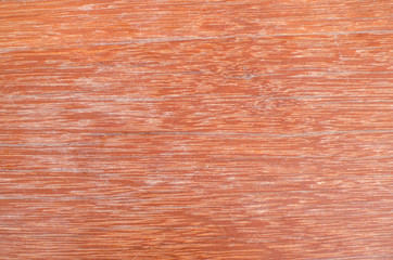 close up Wood pattern background. Can use for Wallpaper and Copy space.