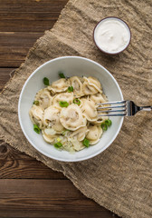 Meat dumplings - russian pelmeni, ravioli with meat on a white plate