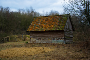 Hut in the forest