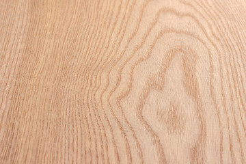 Natural ash tree wooden light background