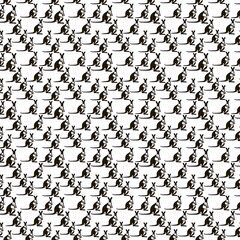 background dichroic kangaroo