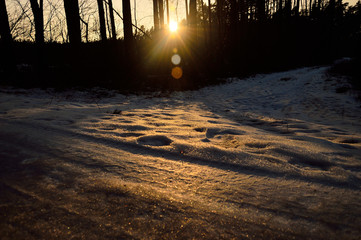 Droga w zimowym lesie ze śniegiem pokryta lodem oświetlona słońcem. - obrazy, fototapety, plakaty