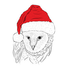 The christmas poster with the image owl portrait in Santa's hat. Vector illustration.