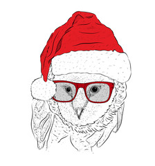 The christmas poster with the image owl portrait in Santa's hat. Vector illustration.