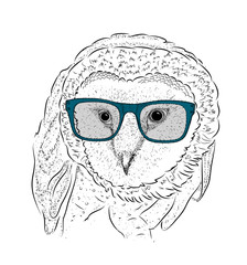Image Portrait of owl in glasses.  Hand draw vector illustration