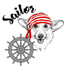 Portrait of dog in sailor hat and with tobacco pipe. Vector illustration.
