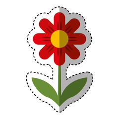 cute flower nature icon vector illustration design