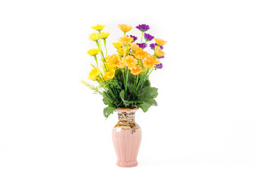 Colorful flower in the pot with white background.