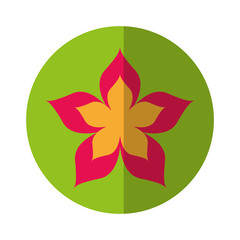 cute flower nature icon vector illustration design