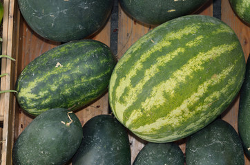 watermelon group from a marketplace