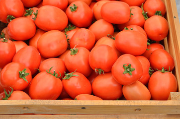 Stack of tomatoes in basket for sale