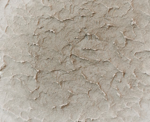 Background of cement