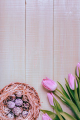Easter background pink tulips on wooden table, quail eggs, nest.