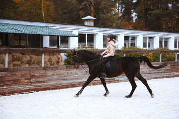 Young jockey brave girl rides on a horse show jumping. Rider on the horse sports competitions
