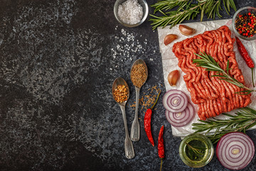 Raw minced meat on paper with onion, herbs and seasonings on bla