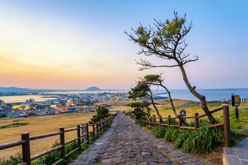 Zelfklevend Fotobehang Jeju-Do Seongsan Ilchulbong, Jeju Island, South Korea © Noppasinw