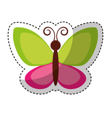 cute butterfly flying icon vector illustration design
