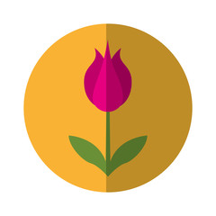 cute flower nature icon vector illustration design