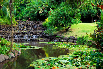 Lake in Vaipahi Domain, Tahiti, French Polynesia