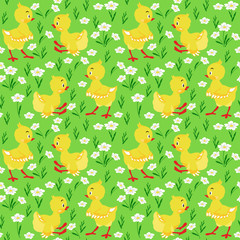 Seamless pattern with chicken and yellow daisies on light green background