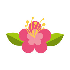 cute flower nature icon vector illustration design
