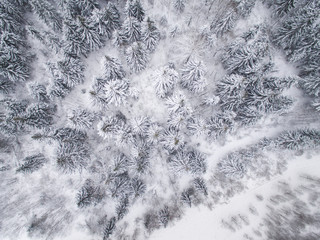 winter landscape photographed from above the forest and river