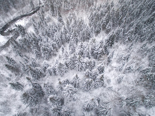 winter landscape photographed from above the forest and river