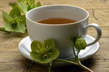 Hunyor Helleborus Hellebore Nieswurz Elleboro ヘレボルス Kräutertee Ղանձլամեր خربق Nyserod Ciemiernik Морозник Spânz Teloh Julrossläktet Jouluruusut Tisane Herbal teas Tisana ハーブティחליטת צמחים 