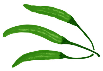 Obraz na płótnie Canvas Chili peppers isolated - Green