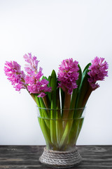 Bright yellow Narcissus flowers bouquet in a yellow glass vase, Easter and spring concept