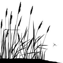 Foto op Canvas Reed and flying dragonfly - black and white vector illustration © lakalla