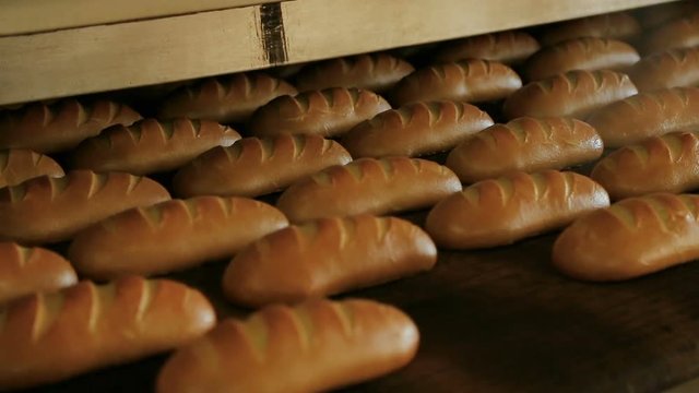 Baking bread. Baked loaf of bread in the bakery, just out of the oven with a nice golden color. Bread bakery food factory production. Warm baked bread at the exit of the oven