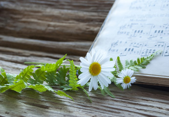 Altes Notenblatt mit Margerite (Leucanthemum), Gänseblümchen (Bellis perennis) und Farn auf Treibholz / Holz Hintergrund  © bidaya