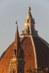 Italia,Toscana,Firenze, la cupola del Duomo
