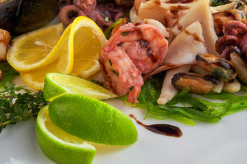 shrimp and Octopus on a white plate