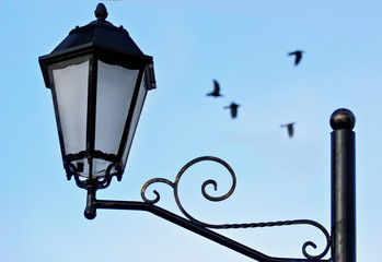 Fototapeta na wymiar Closeup of old street light over blue sky and flying birds defocused