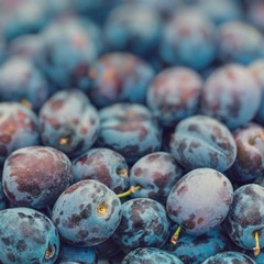 Plums on the market stand in Poland.
