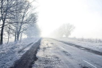 Obraz na płótnie Canvas Trees in winter when the road