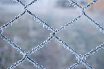 Fence netting in snowflakes. Winter background