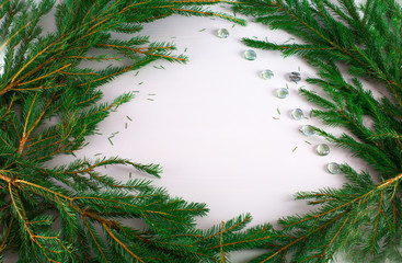 Background. Frame on white background from the branches of a coniferous tree.