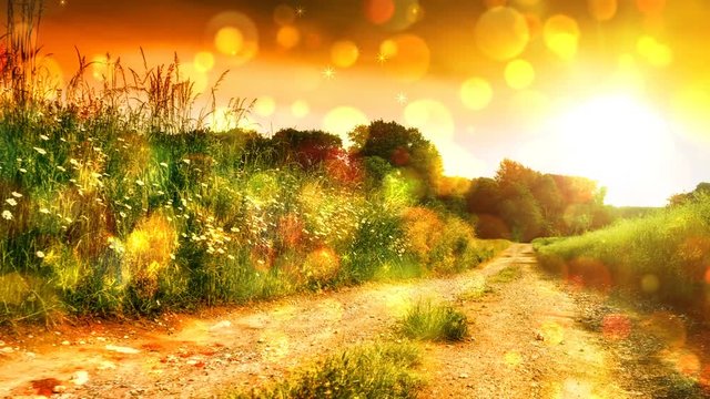 Country road with wild flowers at summer sunset. Nature background. 4K