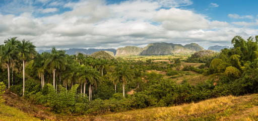 Fototapeta na wymiar Panoramic views of the valley in Pinar del Rio. Cuba