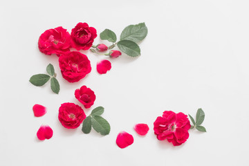 roses on white background