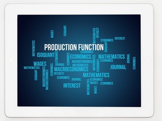 Production function