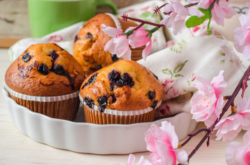 Blueberry muffins on wooden vintage background. Selective focus